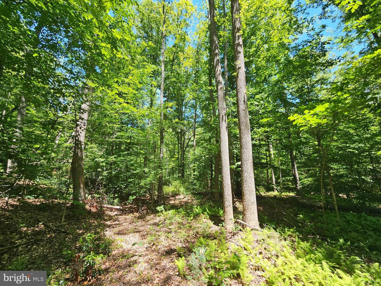 15 AC Manteo Road - Photo 1
