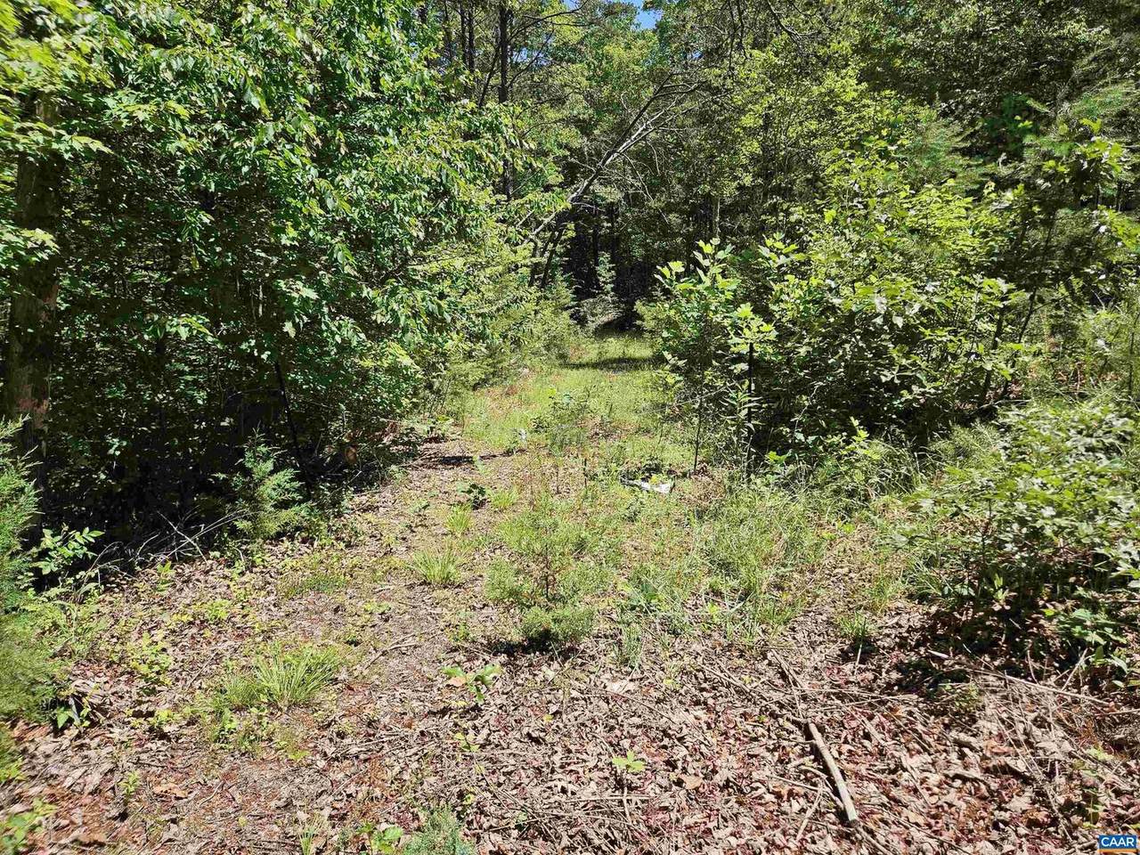  Manteo Rd - Photo 1