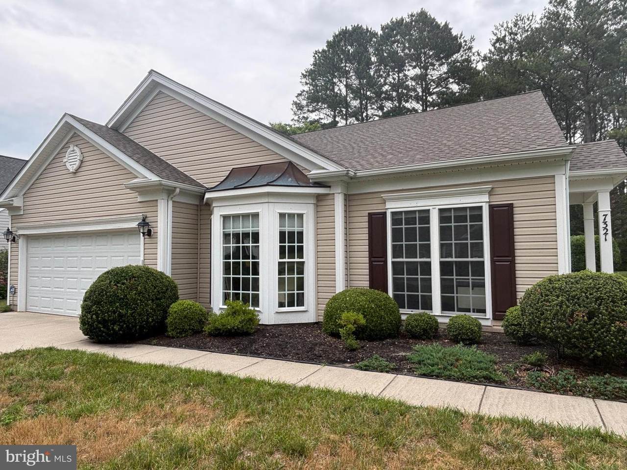 7321 Madaline Avenue - Photo 1