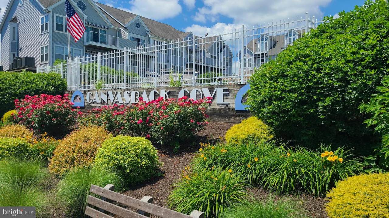 249-D Fountain Street - Photo 1