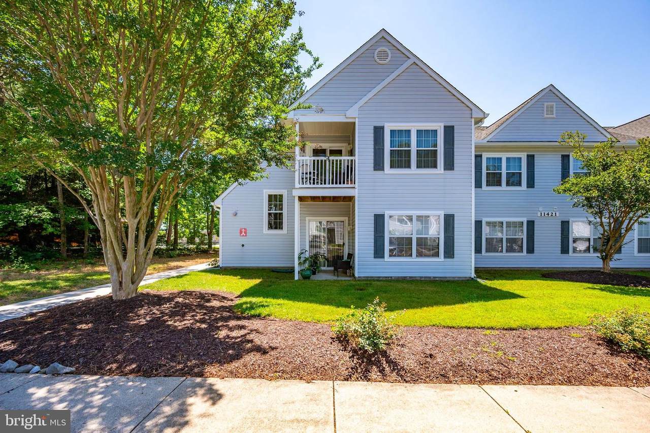 11421 Manklin Creek Road - Photo 1