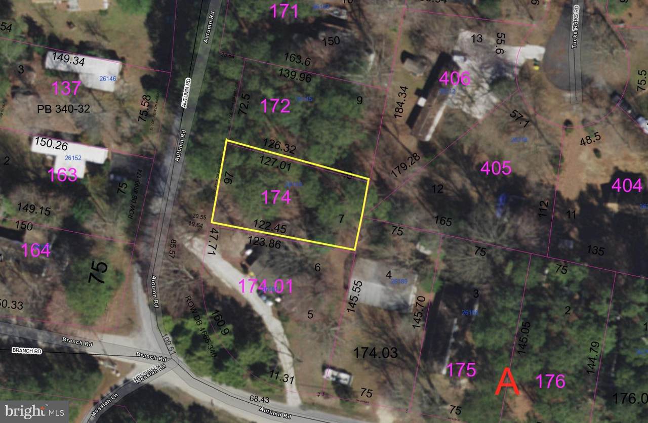 26149 Autumn Road - Photo 1