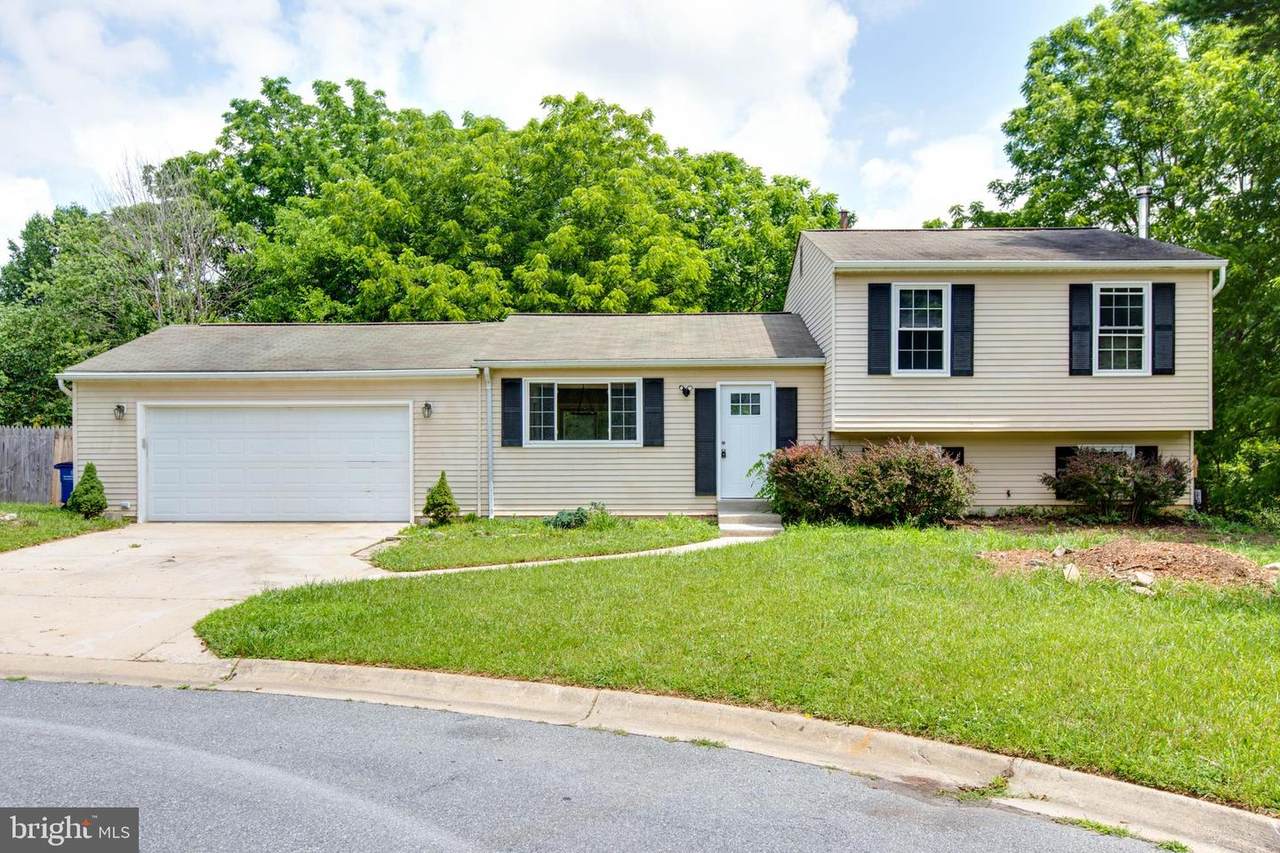 10301 Bloom Drive - Photo 1