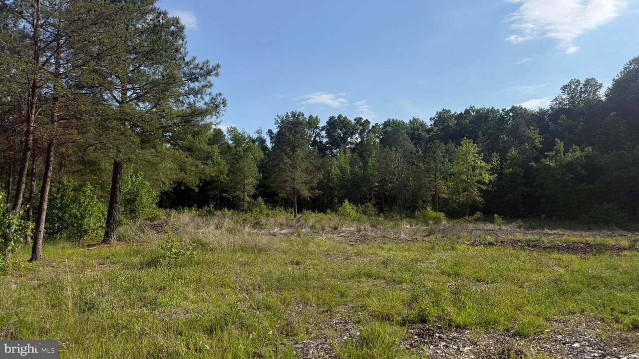 1377 Meyers Station Road - Photo 1