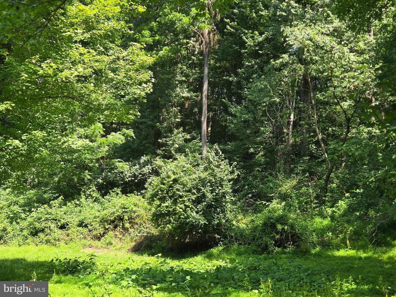 1685 Burkholder Road - Photo 1