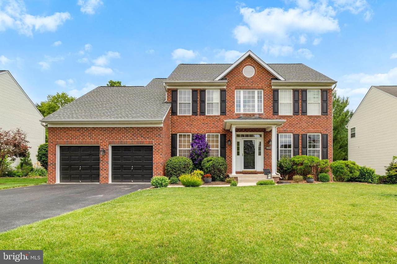 5646 Denfield Place - Photo 1