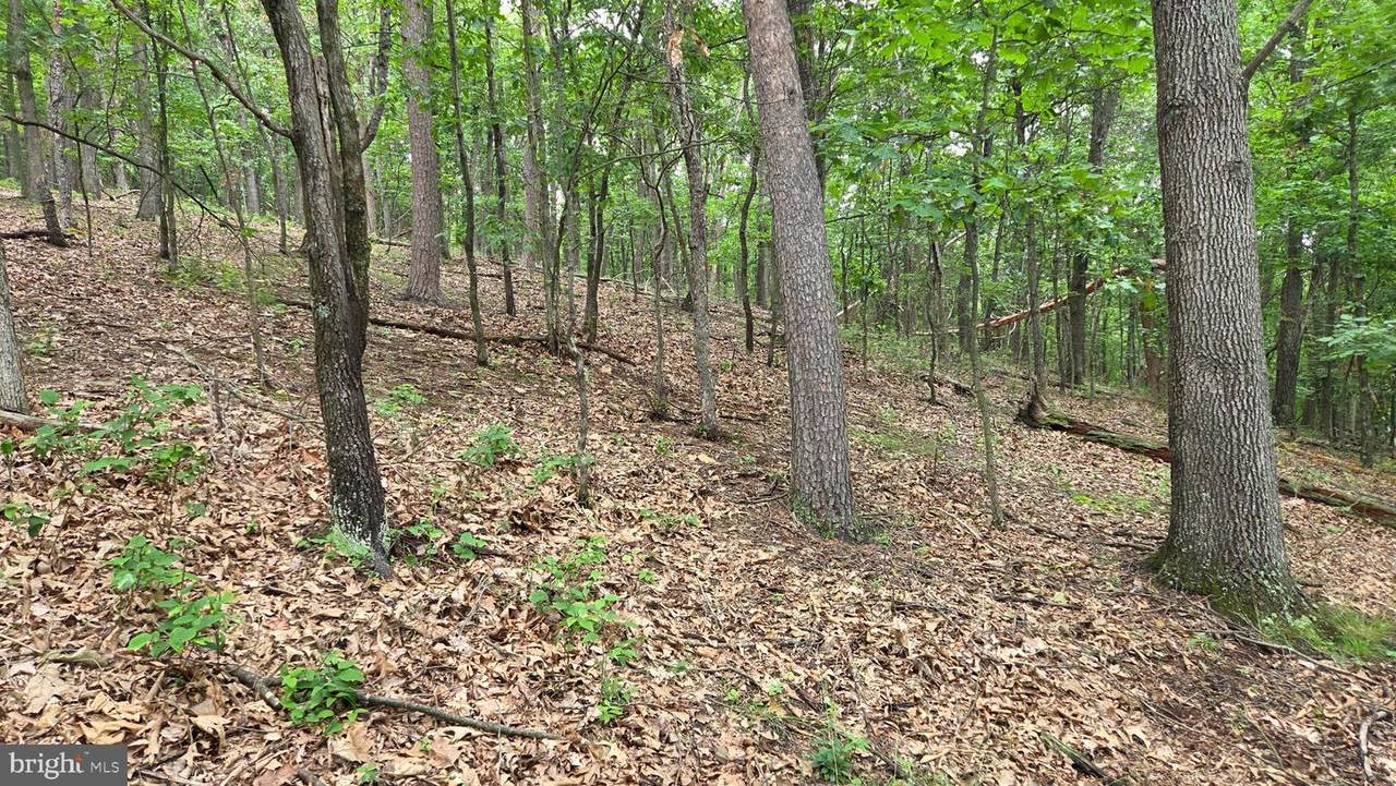 Lot 51 Valley Drive - Photo 1
