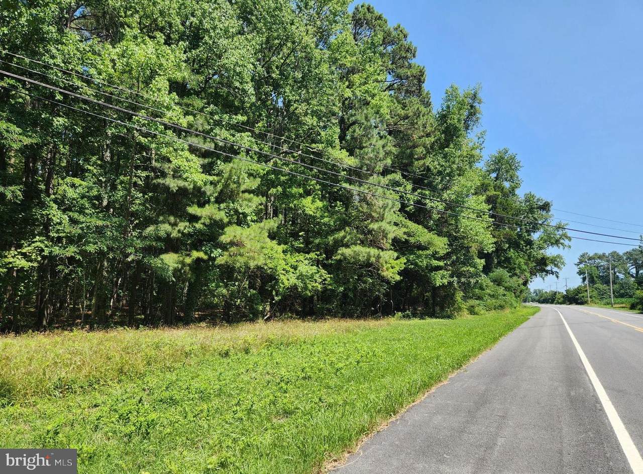  Point Lookout Road - Photo 1