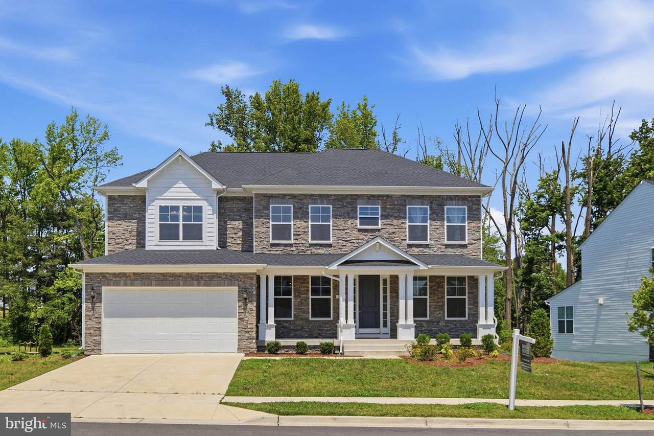 11610 Wynnifred Pl - Photo 1
