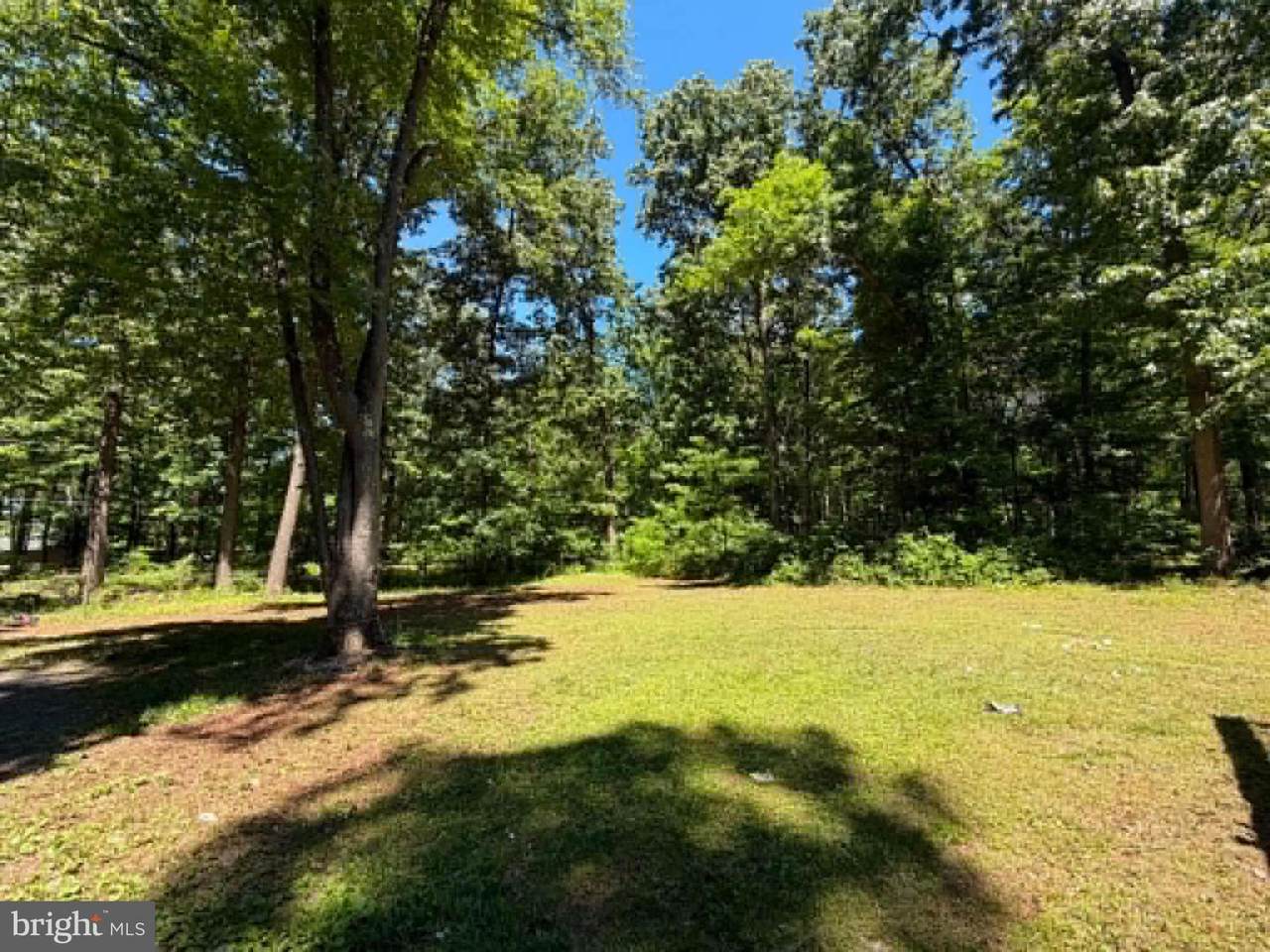 51 Cabin Road - Photo 1