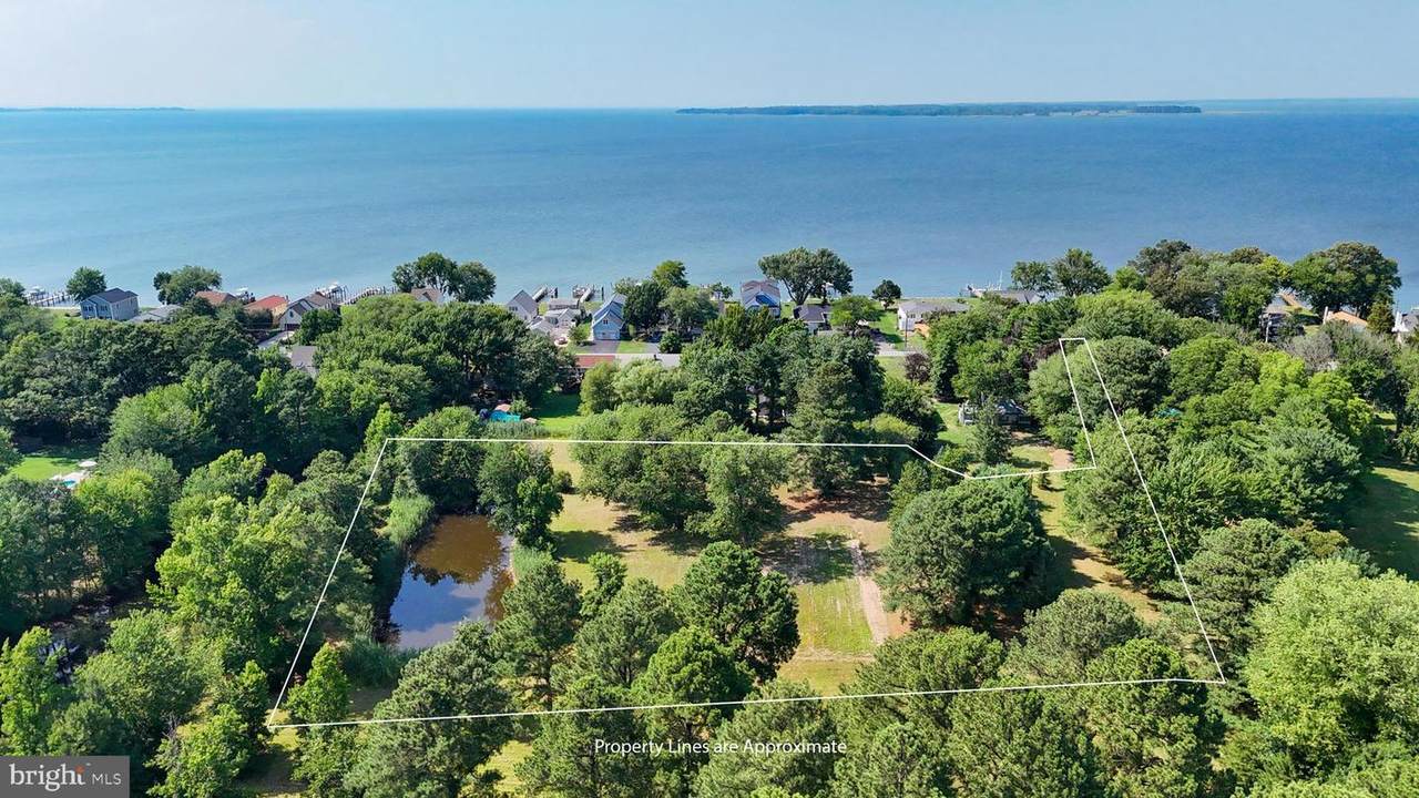  Chester River Drive - Photo 1