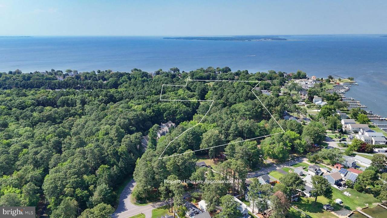  Chester River Drive - Photo 1