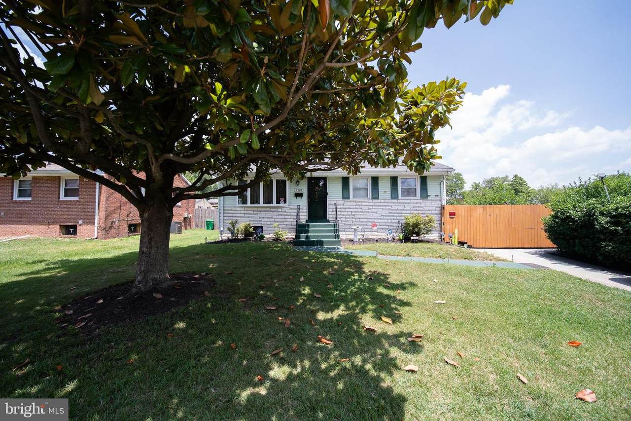 7126 Cedar Street - Photo 1