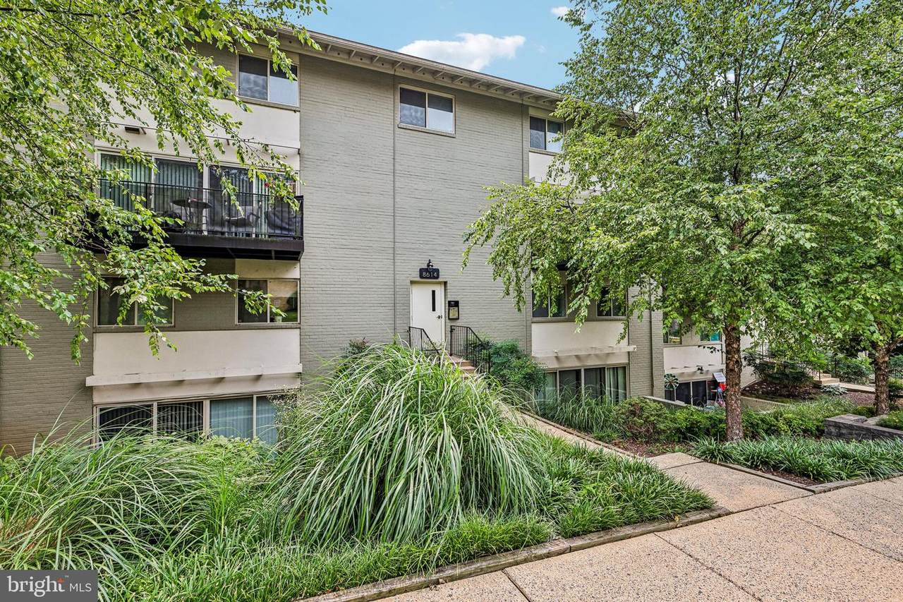 8614 Manchester Road - Photo 1