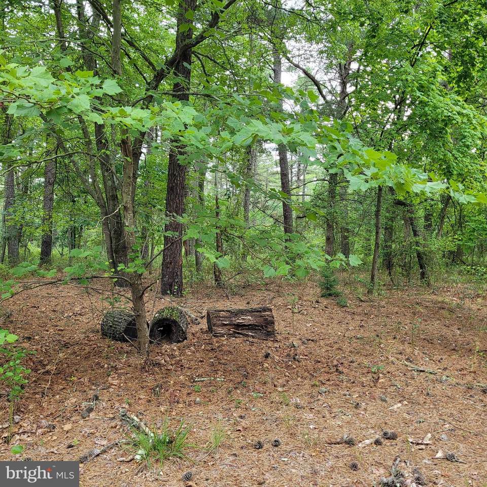 710 Taft Street - Photo 1