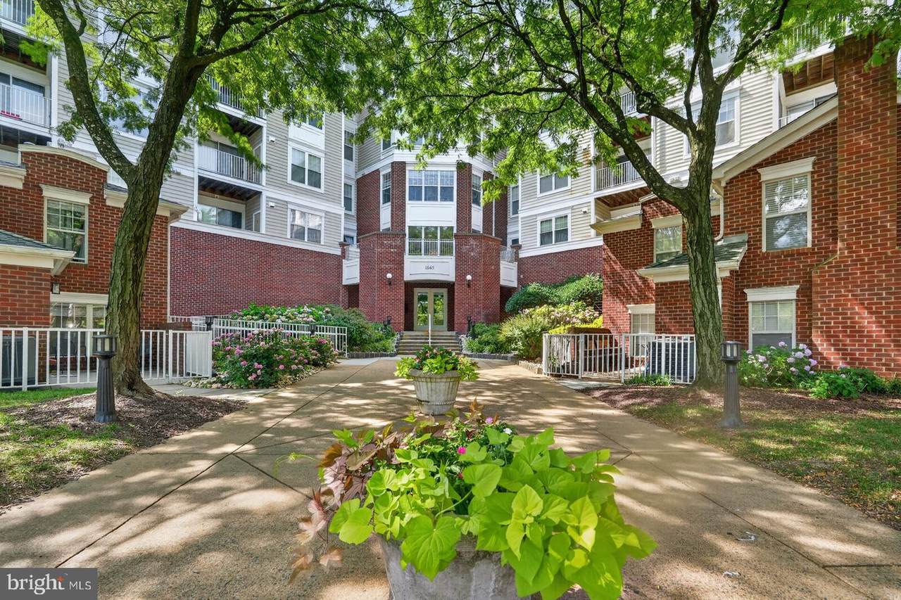 1645 International Drive - Photo 1