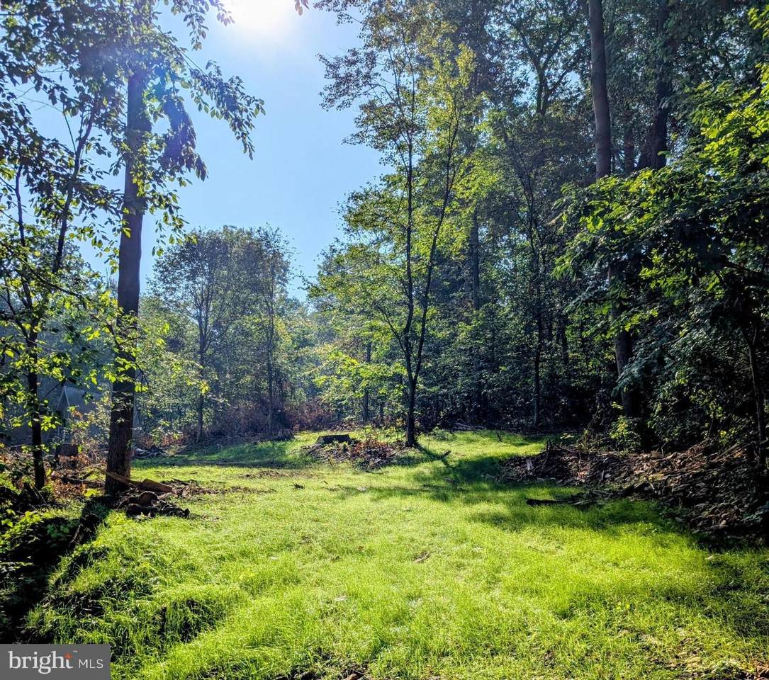 6258 Plank Road - Photo 1