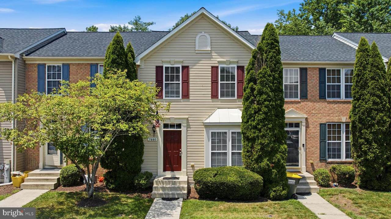7880 Ivy Terrace - Photo 1
