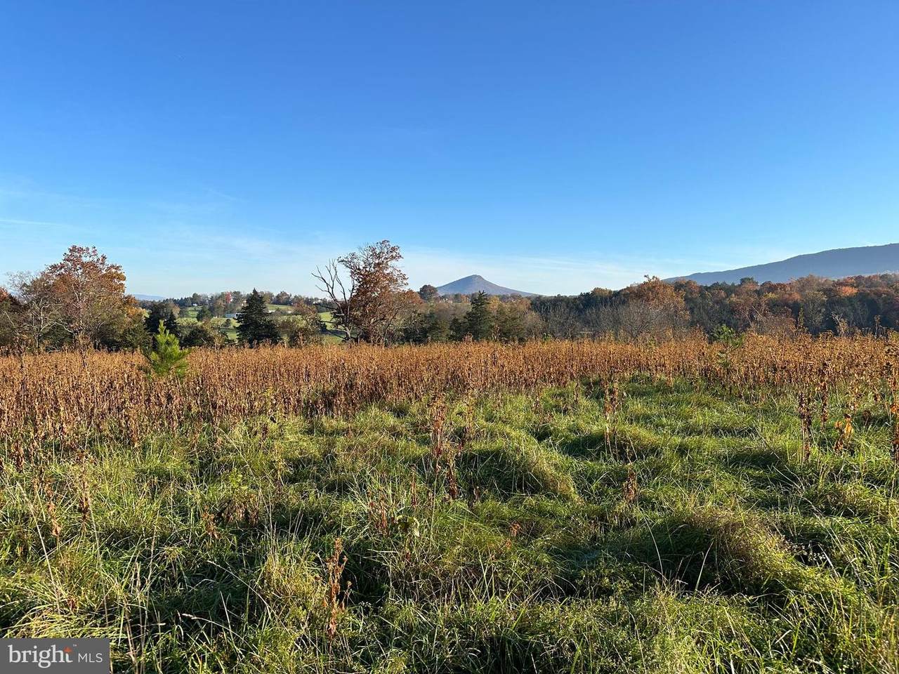  Smith Creek Road - Photo 1