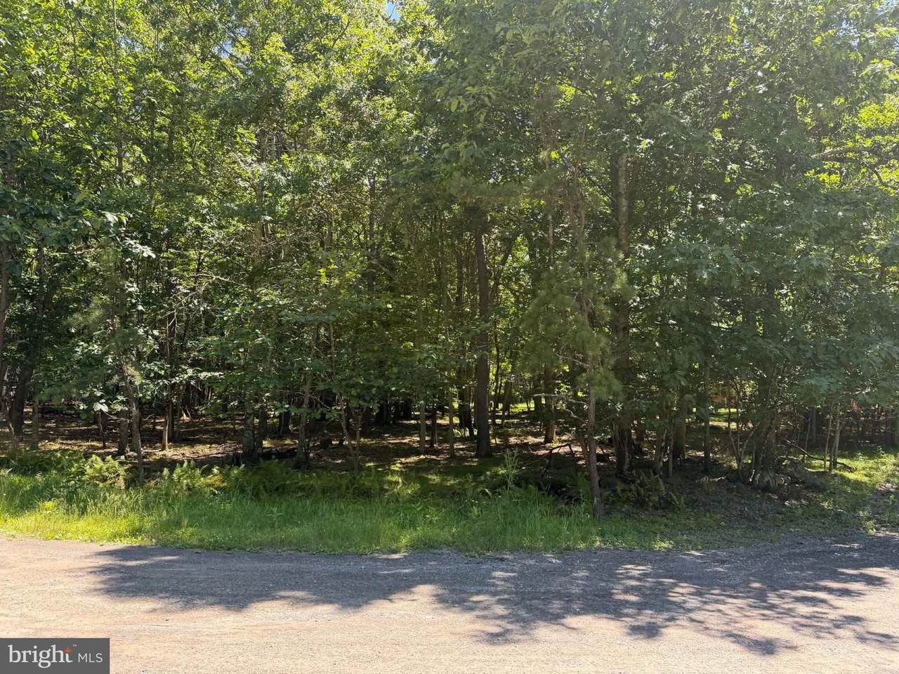 0 Wildwood Lane - Photo 1