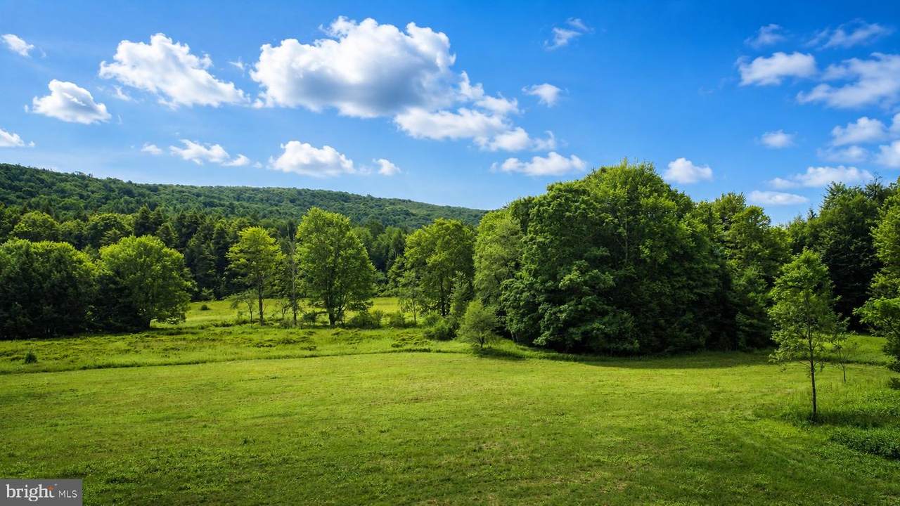 https://bt-photos.global.ssl.fastly.net/brightmls/1280_boomver_2_805129772422-2.jpg