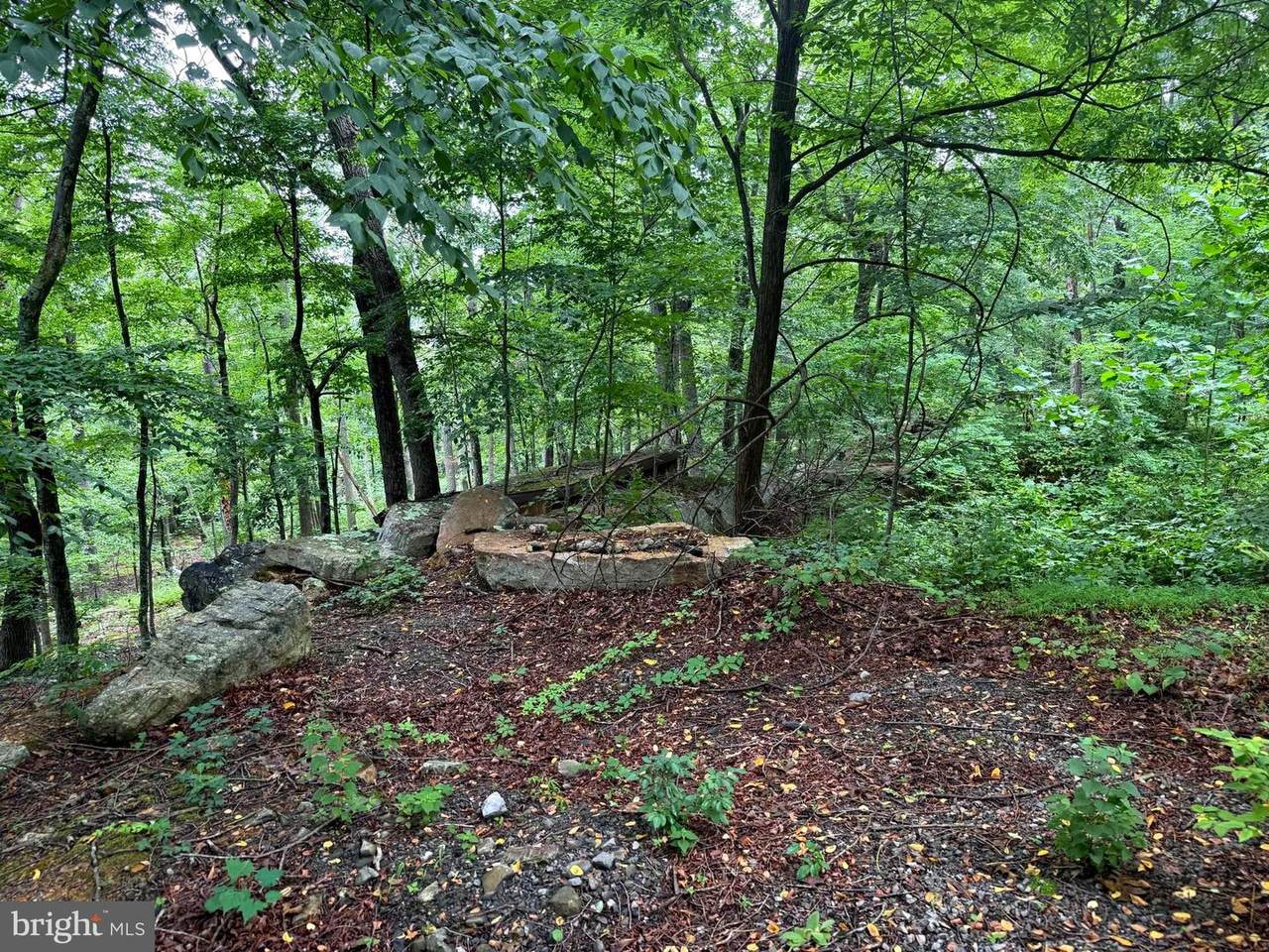 TR D-15 Deer Path Road - Photo 1