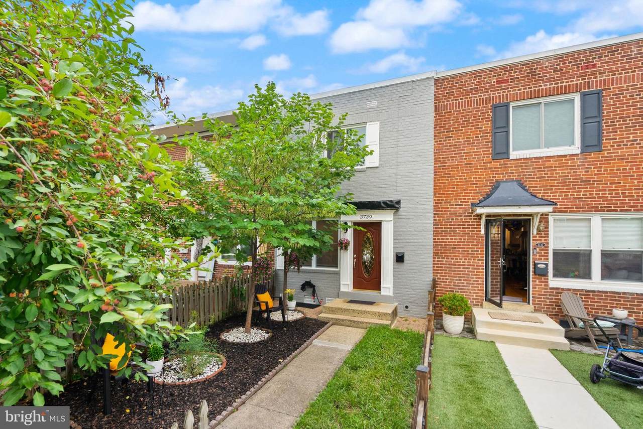 3739 Mark Drive - Photo 1