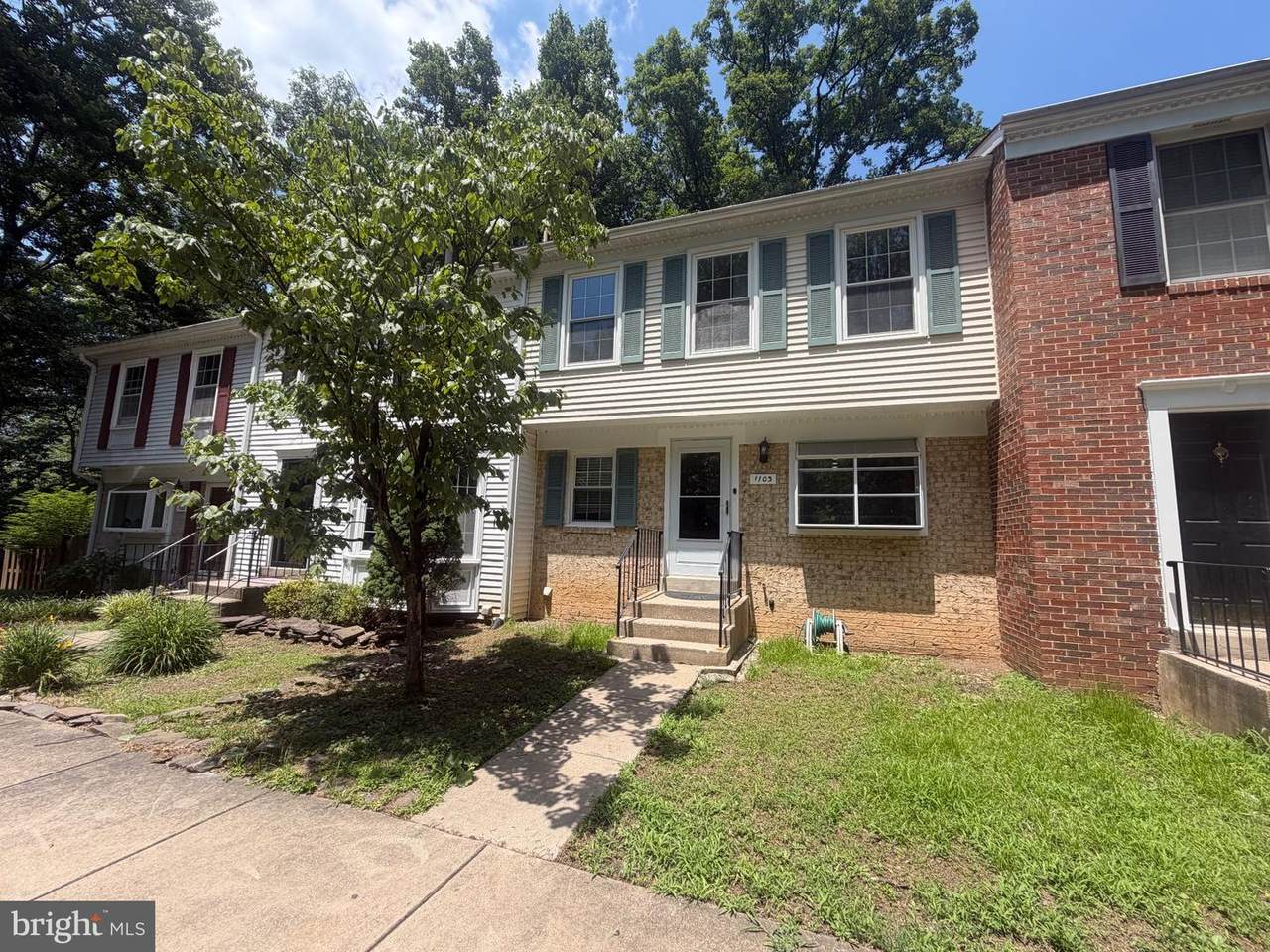 1103 Wildpark Avenue - Photo 1