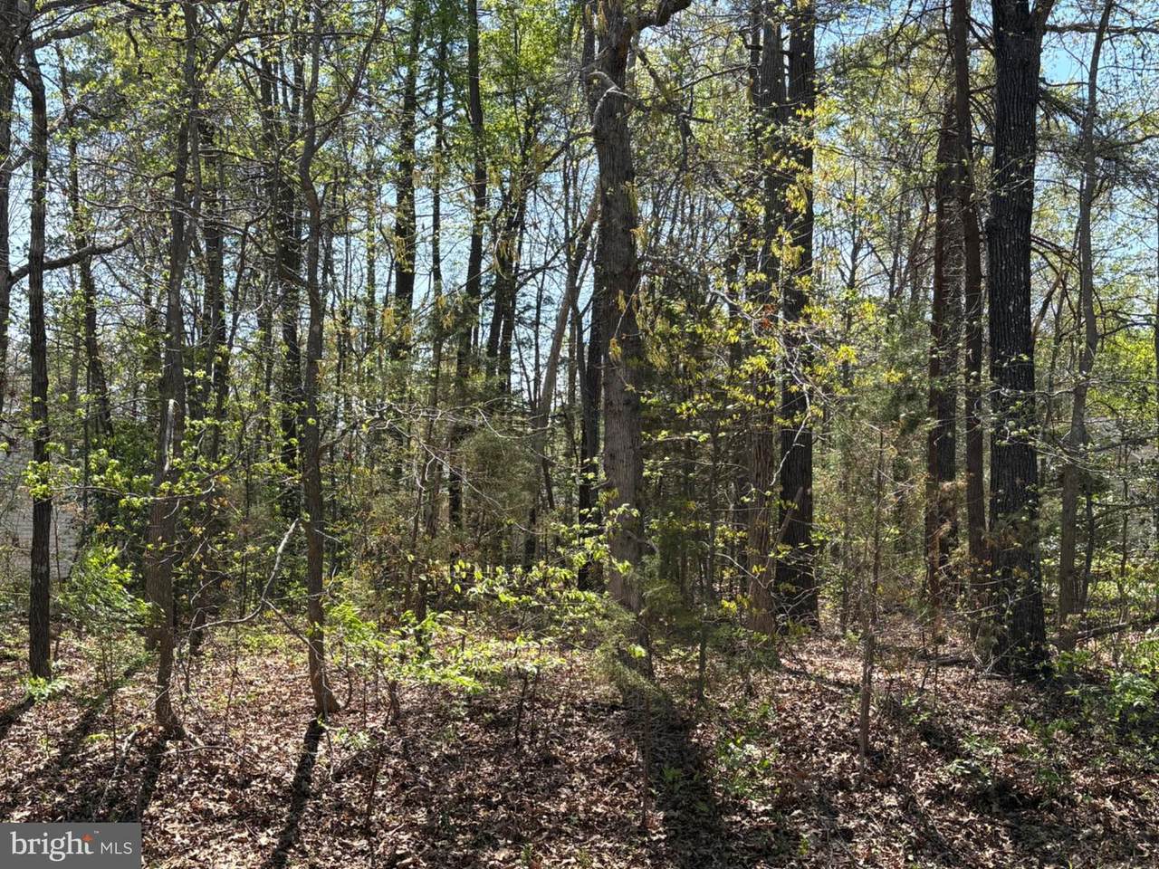411 Pocahontas Drive - Photo 1