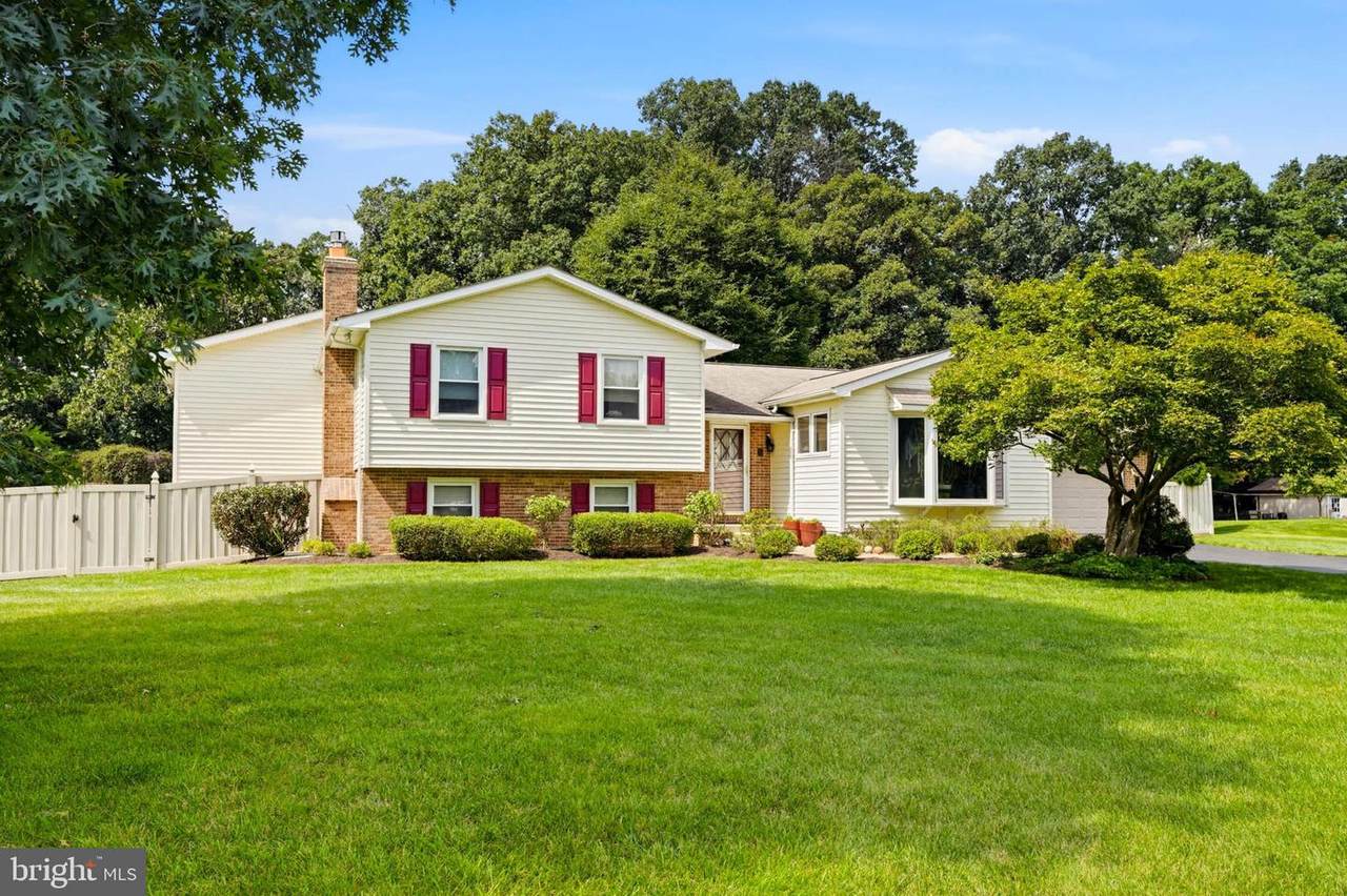 13165 Deanmar Drive - Photo 1