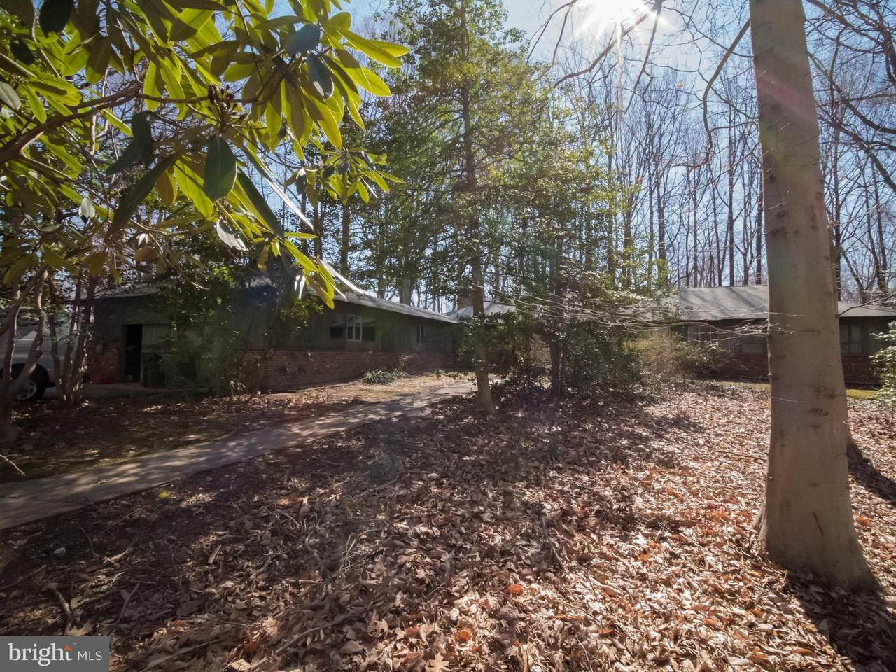 4313 Woodlark Drive - Photo 1