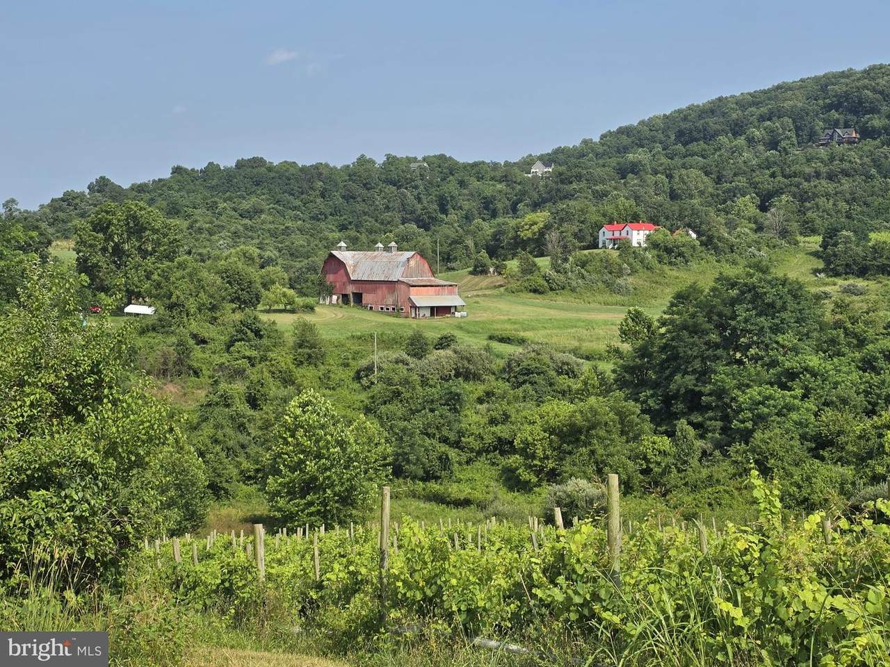  Red Barn Lane - Photo 1