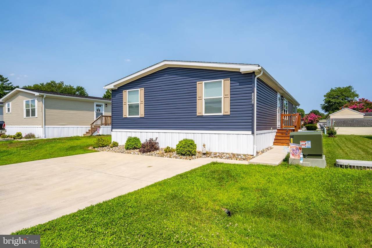 33392 Buttercup Street - Photo 1