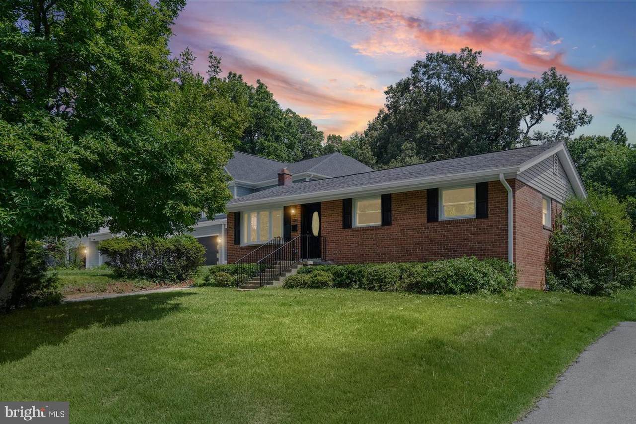 11305 Mapleview Drive - Photo 1