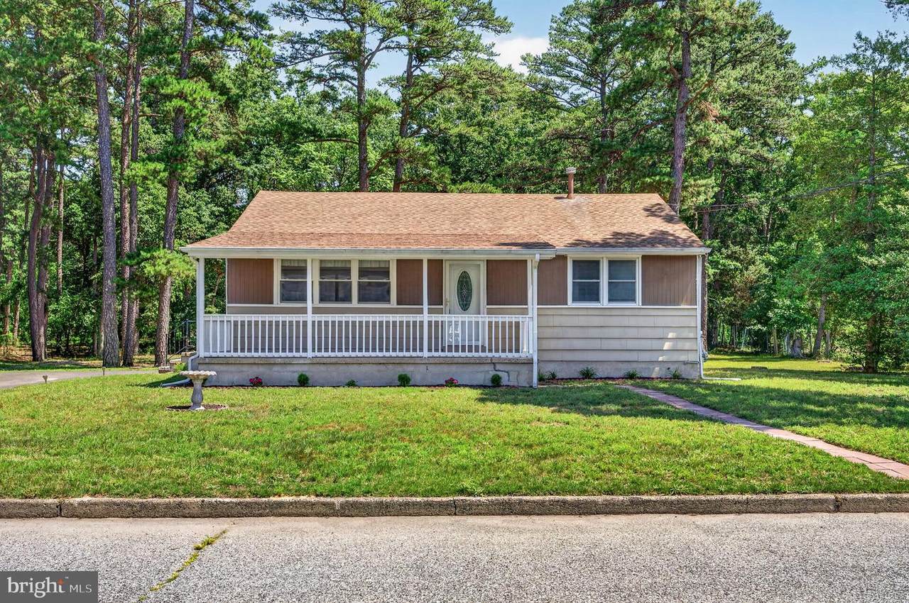 55 Bittle Avenue - Photo 1