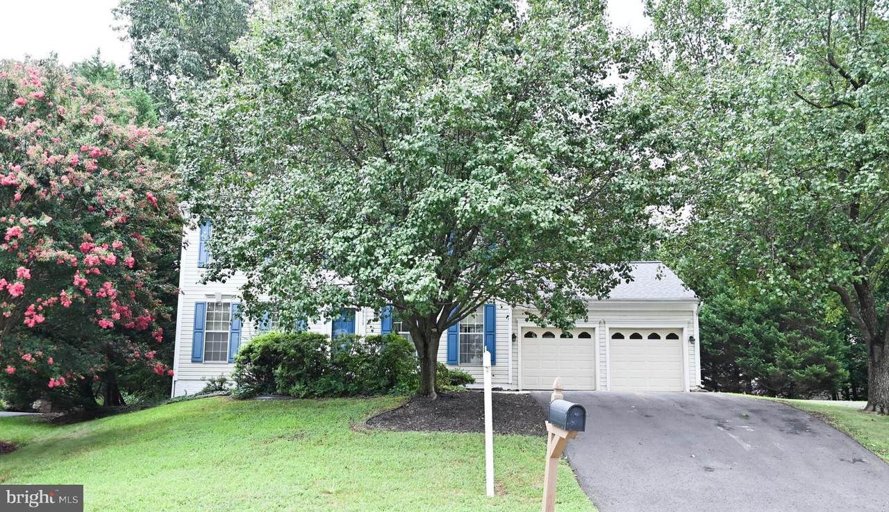 9513 Vinnia Court - Photo 1