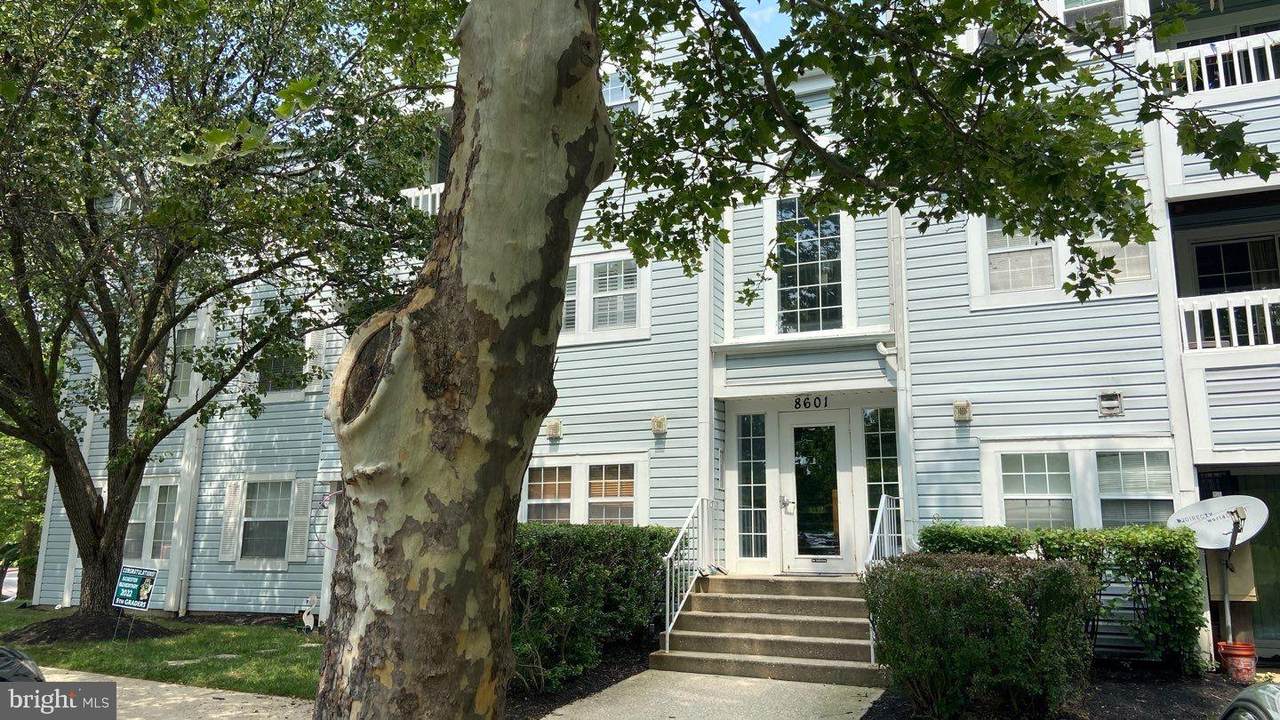8601 Falls Run Road - Photo 1
