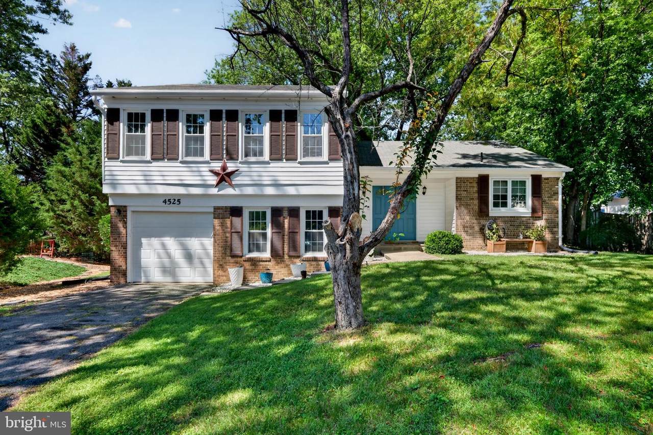 4525 Flintstone Road - Photo 1