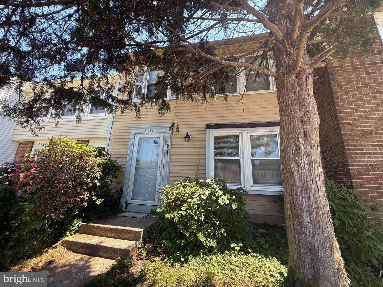 8371 Brockham Drive - Photo 1