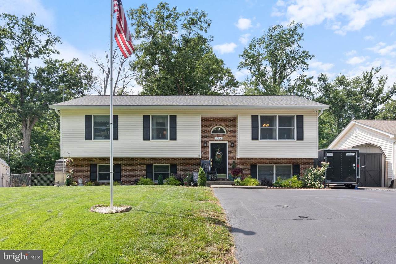 704 Alamo Lane - Photo 1