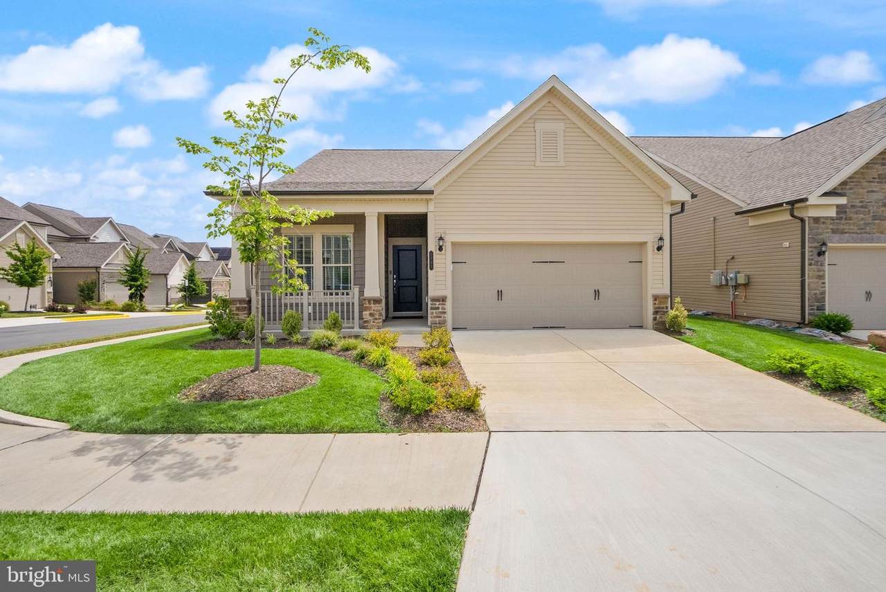 6765 Azalea Garden Lane - Photo 1