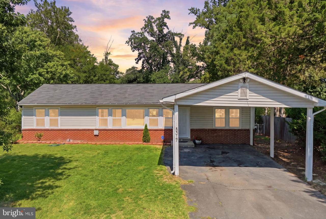 8317 Schultz Road - Photo 1