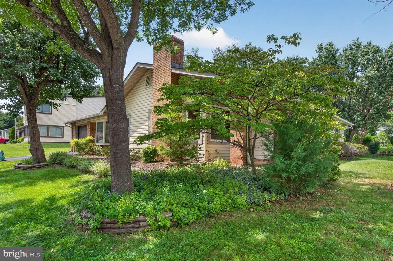 323 Avondale Drive - Photo 1