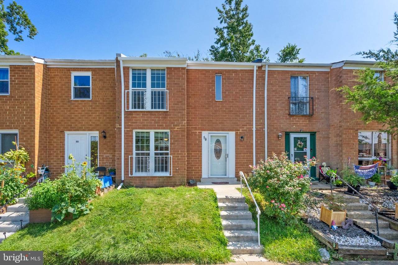 54 Maple - Photo 1