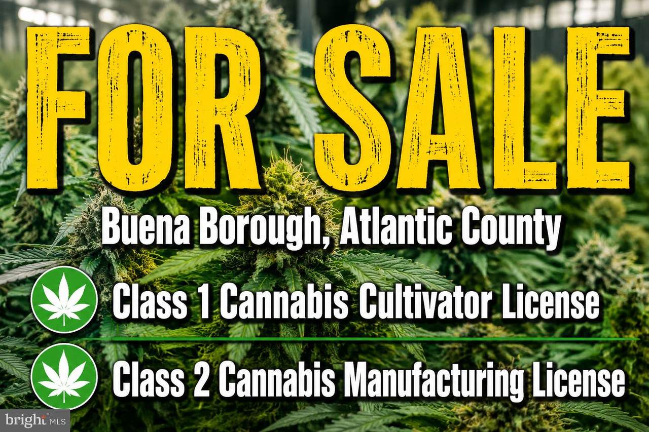  Cannabis - Photo 1