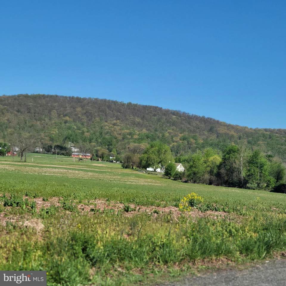 7931 Boyertown Pike - Photo 1