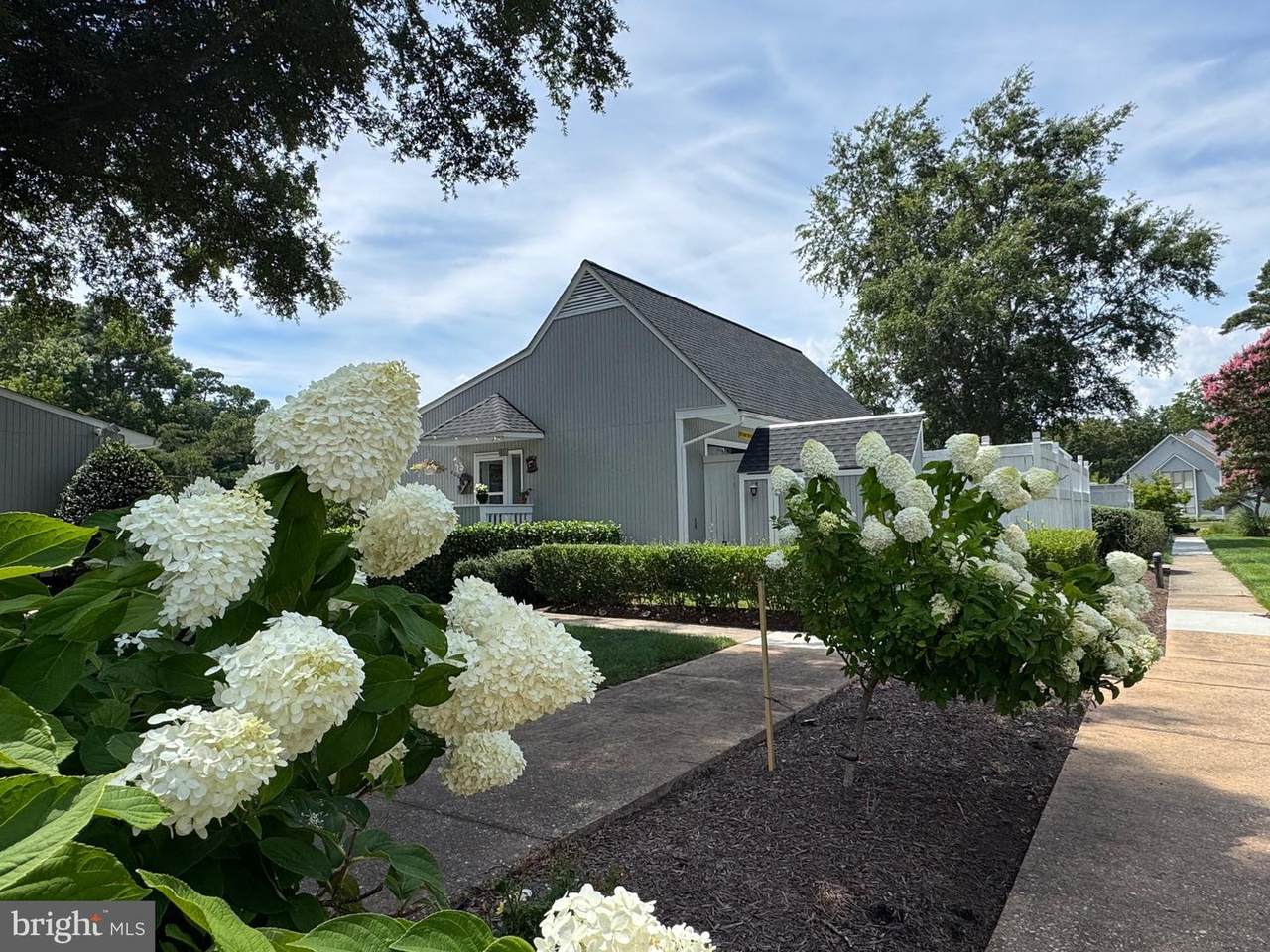 33542 Volley Court - Photo 1