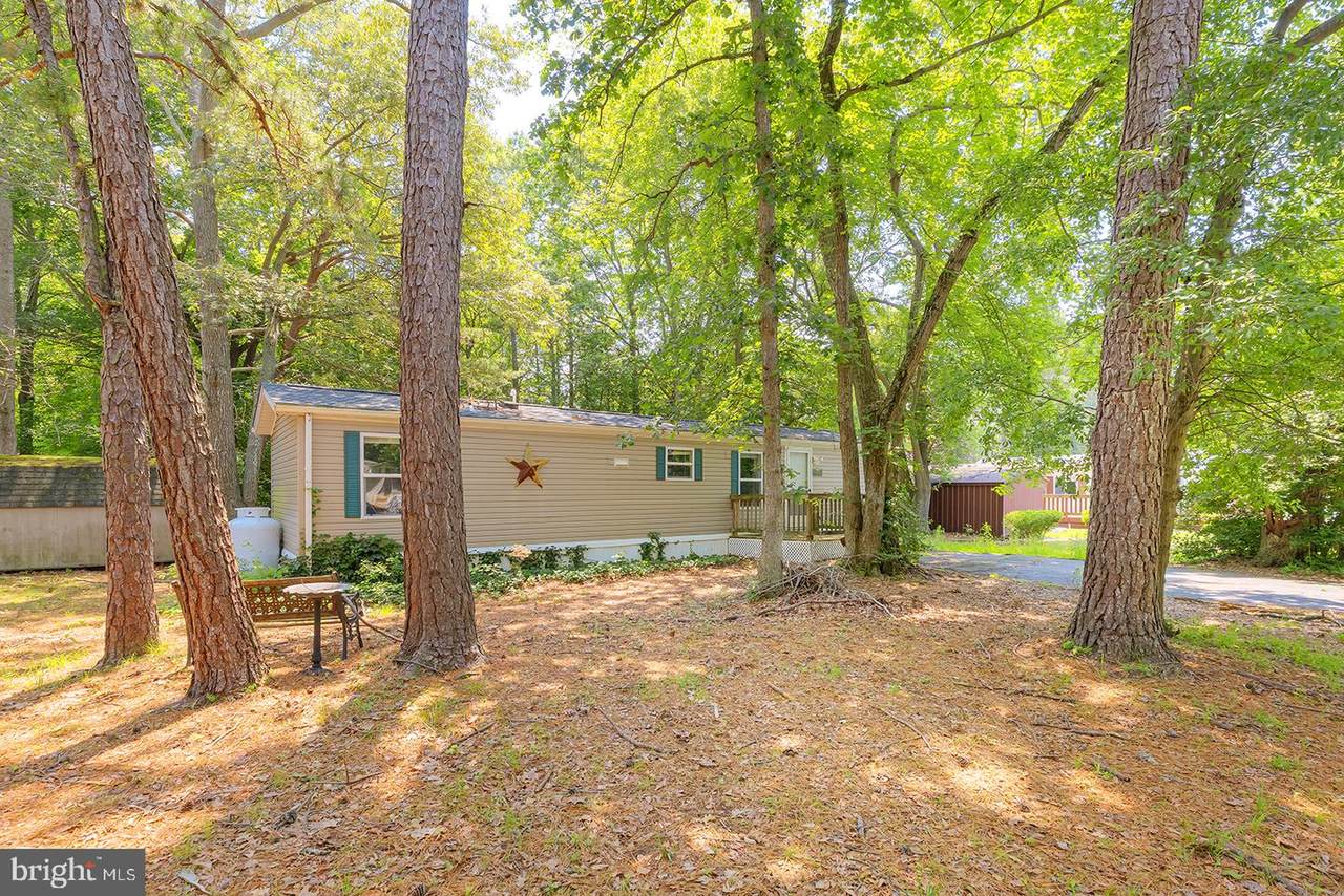 24119 Celtic Street - Photo 1
