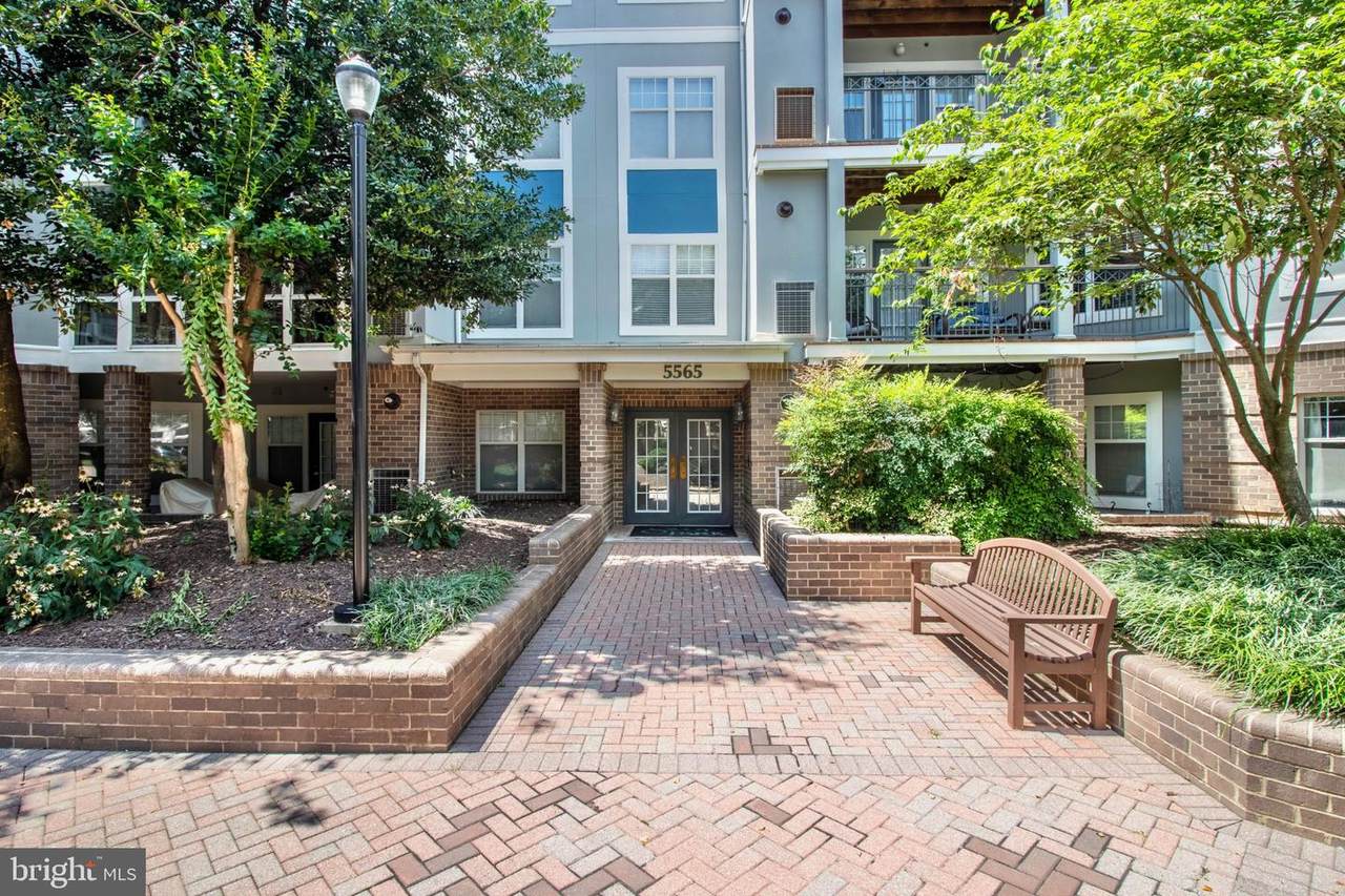 5565 Seminary Road - Photo 1