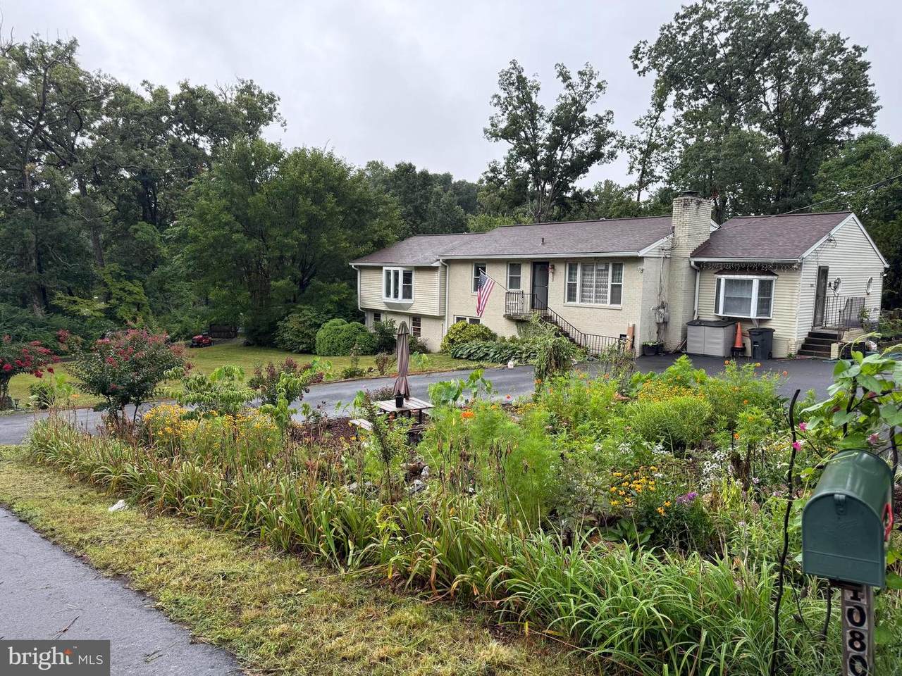 10805 Carol Street - Photo 1